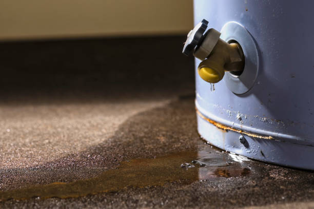 Best Water damage restoration services  in Hugo, MN