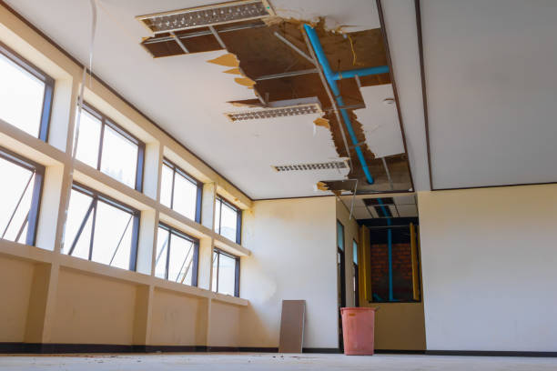 Reliable Hugo, MN Water damage restoration Solutions