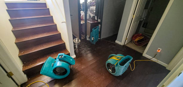 Best Water damage restoration process  in Hugo, MN