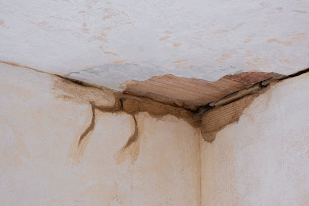  Hugo, MN Water damage restoration Pros