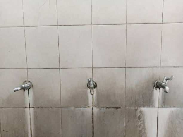 Best Professional water damage repair  in Hugo, MN