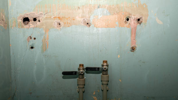 Best Flood restoration services  in Hugo, MN