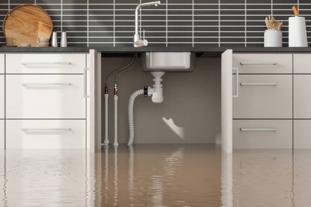 Best Water damage contractors near me  in Hugo, MN