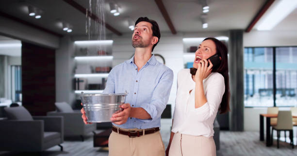 Best Water damage restoration experts  in Hugo, MN